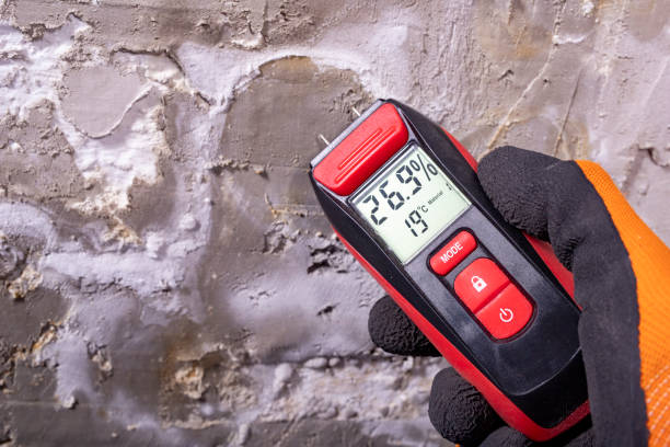 Best Crawl Space Mold Remediation in Norwood, NC