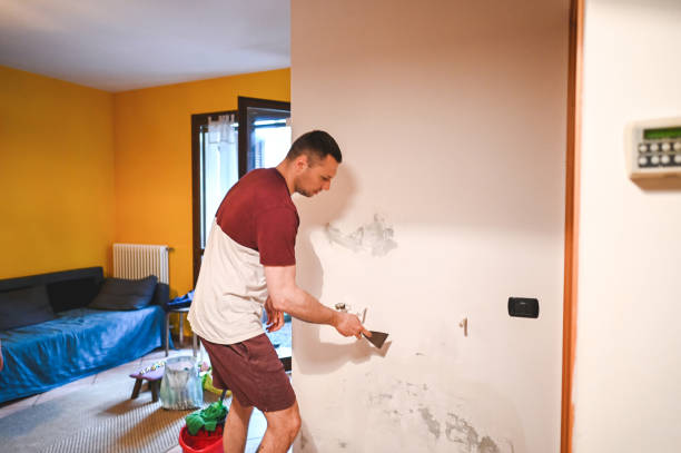 Best Mold Testing and Inspection Services in Norwood, NC